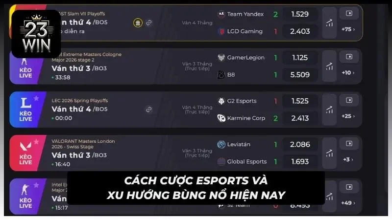 Xu hướng cá cược esports đỉnh cao năm 2026