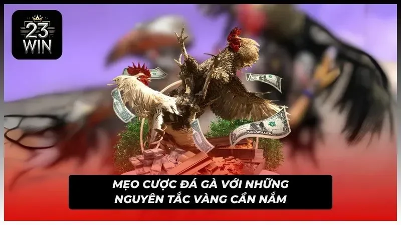 Các nguyên tắc quan trọng khi tham gia bộ môn